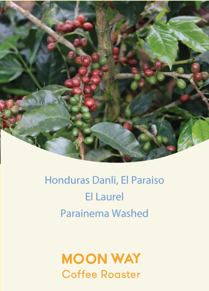Honduras Danli, El Paraiso El Laurel Parainema Washed