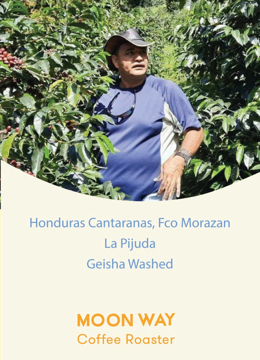 Honduras Cantaranas, Fco Morazan La Pijuda Geisha Washed
