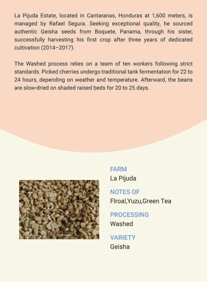 Honduras Cantaranas, Fco Morazan La Pijuda Geisha Washed