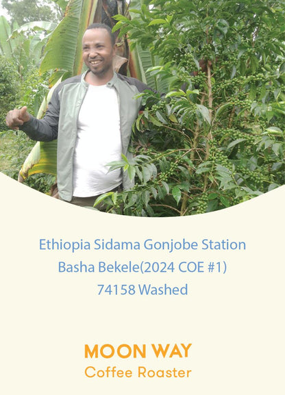 Ethiopia Sidama Gonjobe Station 74158 Washed