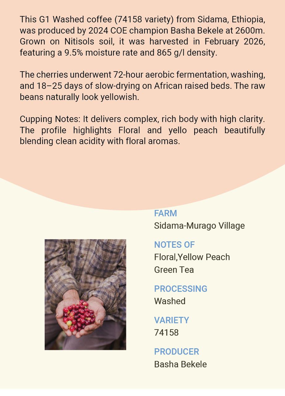 Ethiopia Sidama Gonjobe Station 74158 Washed