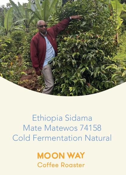 Ethiopia Sidama  Mate Matewos 74158 Cold Fermentation Natural