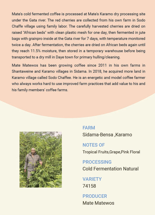 Ethiopia Sidama  Mate Matewos 74158 Cold Fermentation Natural
