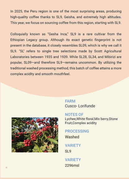 Peru Cusco Lorifunde SL9 Washed