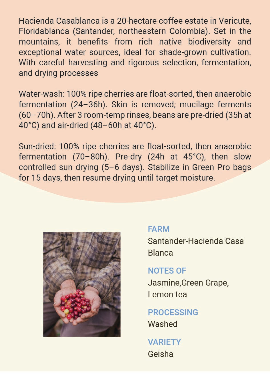 Colombia Santander-Hacienda Casa Blanca Geisha Washed&Natural