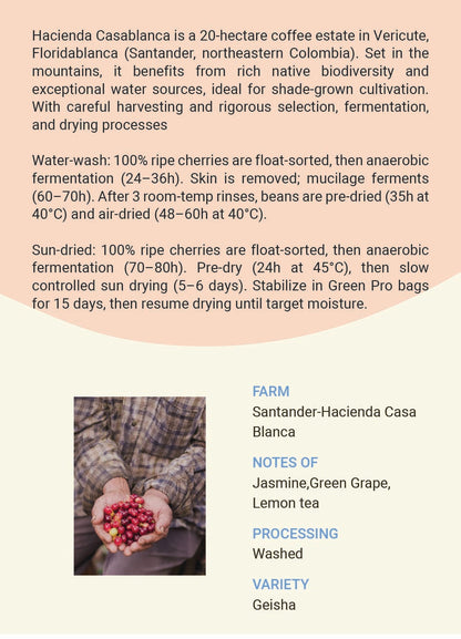 Colombia Santander-Hacienda Casa Blanca Geisha Washed&Natural