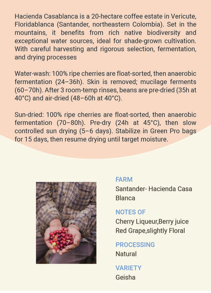 Colombia Santander-Hacienda Casa Blanca Geisha Washed&Natural