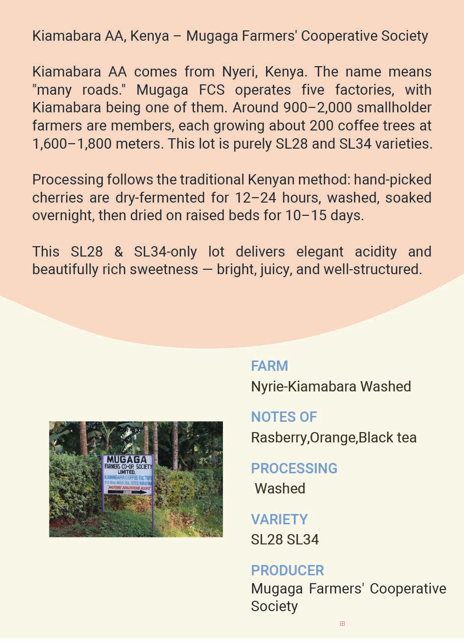 Kenya Nyrie Kiambara Washed SL28 SL34