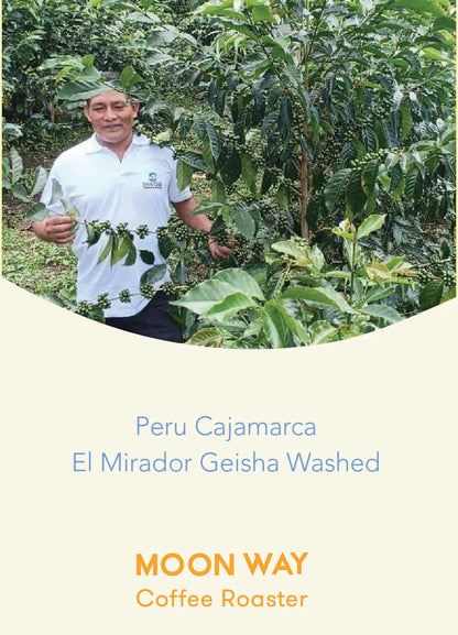 Peru Cajamara El Mirador geisha washed (2024 COE1 farm)