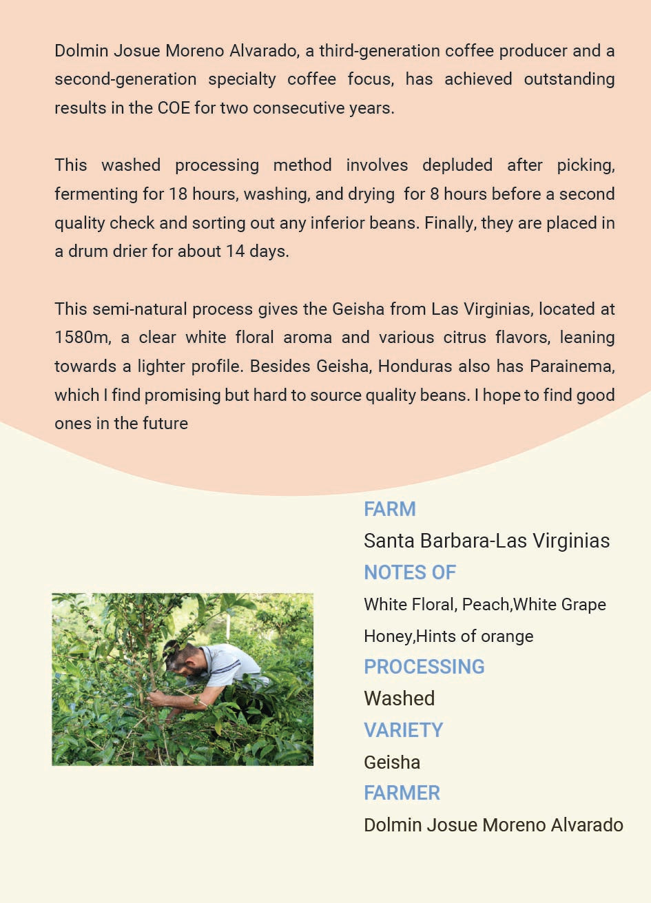 Honduras Santa Barbara Las Virginias Washed Geisha(COE 24#5,25#5）