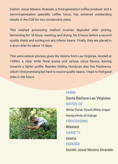 Honduras Santa Barbara Las Virginias Washed Geisha(COE 24#5,25#5）