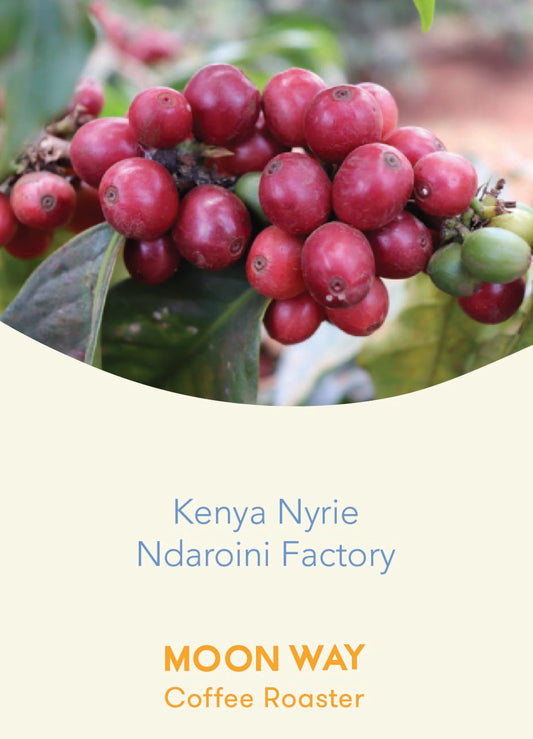 Kenya - Ndaroini Factory AB
