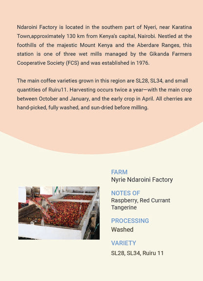 Kenya - Ndaroini Factory AB