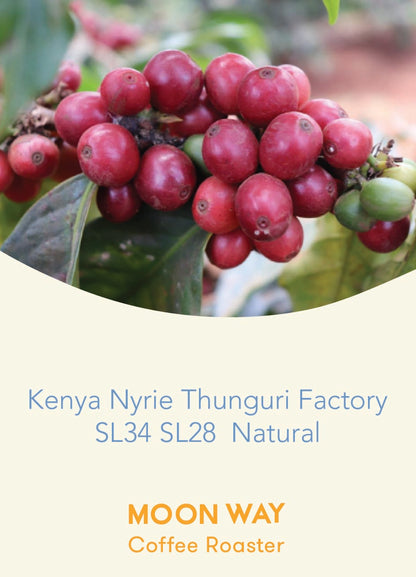 Kenya Nyrie Thunguri Factory SL34 SL28 Natural