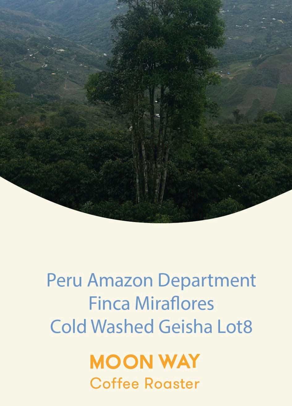 Peru Amazon Deaprtment Miraflores Cold Washed Geisha