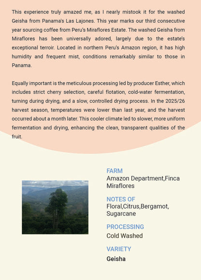 Peru Amazon Deaprtment Miraflores Cold Washed Geisha