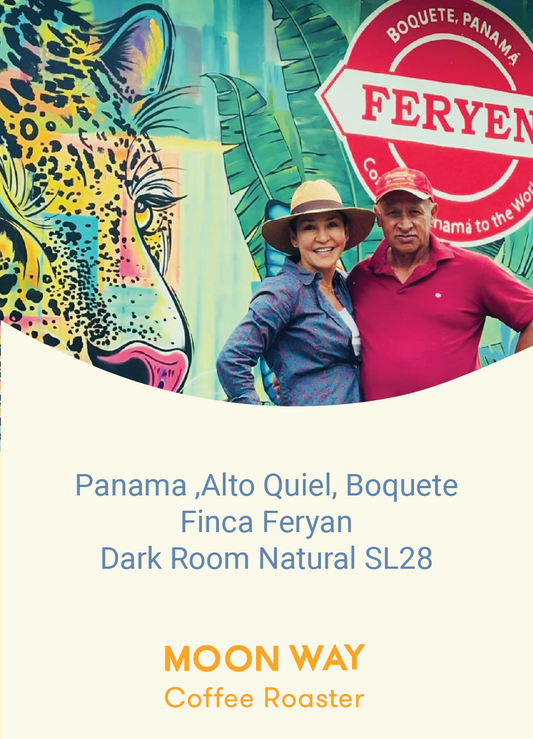 Panama Alto Quiel, Boquete Finca Feryan SL28 Drak Room Natural