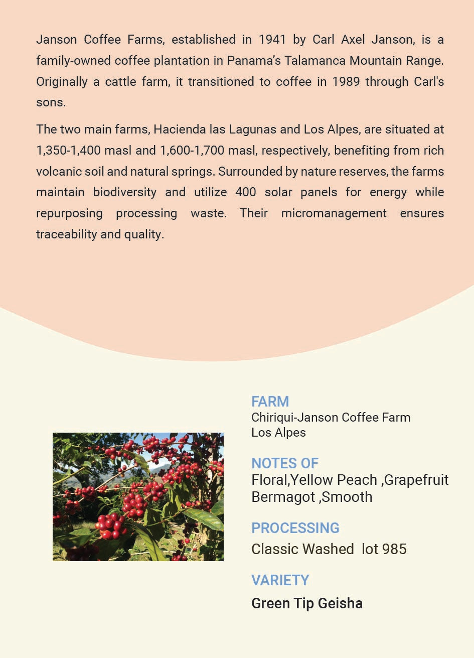 Panama Janson Coffee Farm Classic Washed lot 985