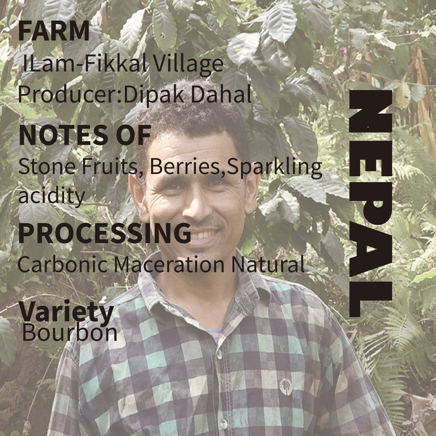 Nepal-Ilam Bourbon Carbonic Meceration Natural