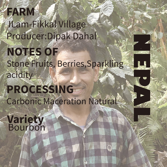 Nepal-Ilam Bourbon Carbonic Meceration Natural