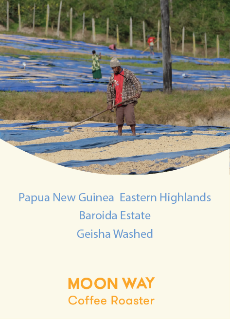 Papua New Guinea  Eastern Highlands Baroida Estate  Geisha Washed