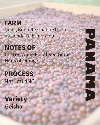 Panama Quiel, Boquete,Guabo El velo Hacienda La Esmeralda Guabo 4NC