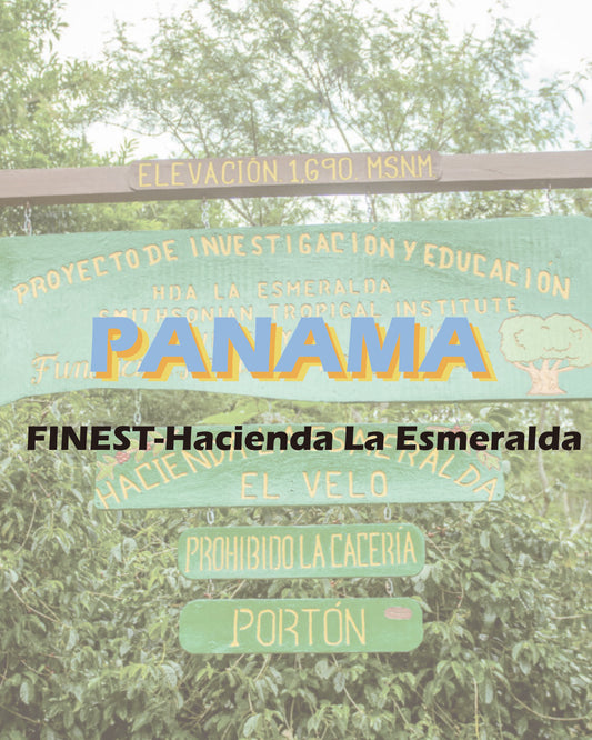 Panama Quiel, Boquete,Guabo El velo Hacienda La Esmeralda Guabo 4NC