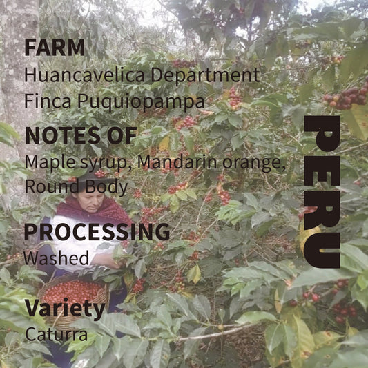 Peru- Huancavelica Department Finca Puquiopampa