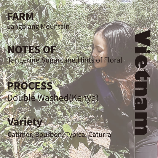 Vietnam Langliang Mountain  Zanya Coffee double washed