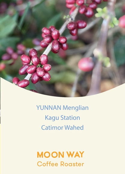Yunnan Menglian Kagu Station Catimor Washed