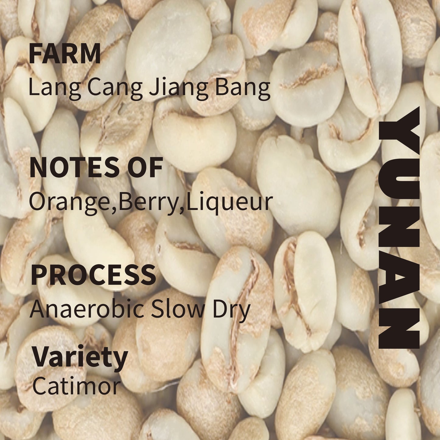 Yunnan Lang Cang Jiang Bang