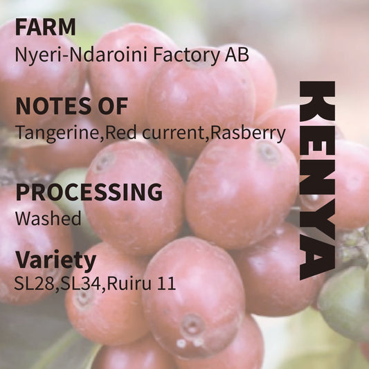 Kenya - Ndaroini Factory AB