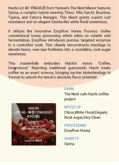 Yunnan The Nest Hachi coffee project YÌNGXUĚ-Syrina  Enzyflow honey